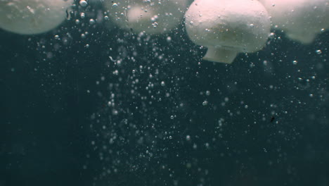 Mushrooms-falling-into-water-and-floating-in-slow-motion